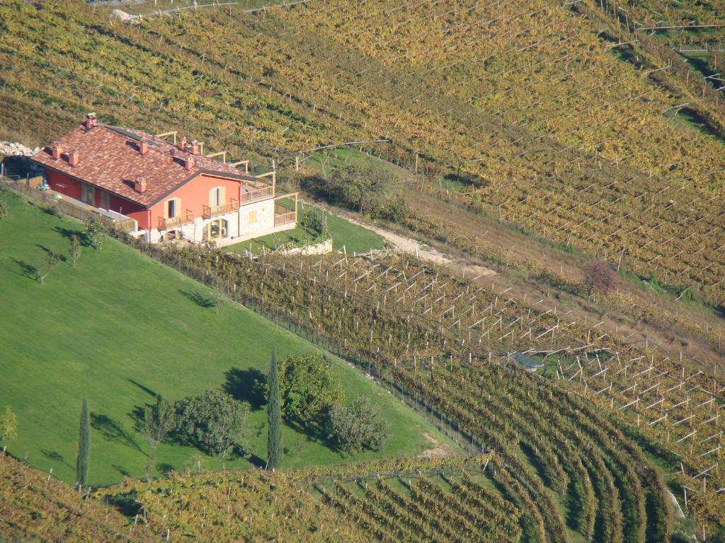 Agritur Maso Spezial Villa Villa Lagarina Exterior foto